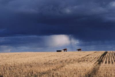 Preparing For A Farm Crisis Means Creating A Communications Plan ProAg