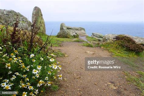 Paradise Park Cornwall Photos and Premium High Res Pictures - Getty Images