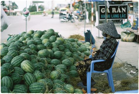 What is the informal economy and how many people work in it? | World