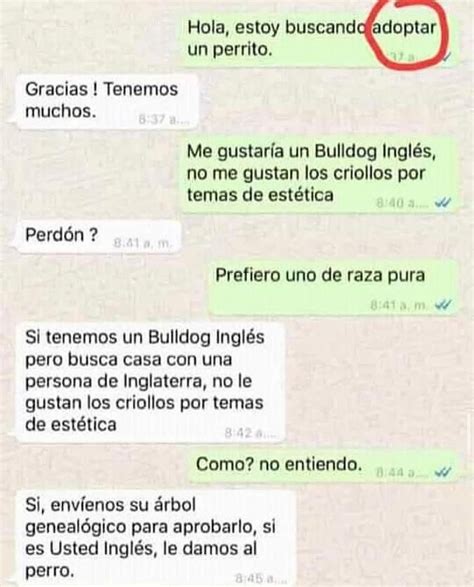 Evaluna Se Pas Con La Hierva Para El Amarre Que Le Hizo A Camilo Amo