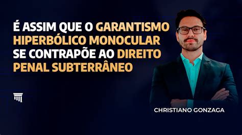 Entenda A Rela O Entre O Garantismo Hiperb Lico Monocular E Direito