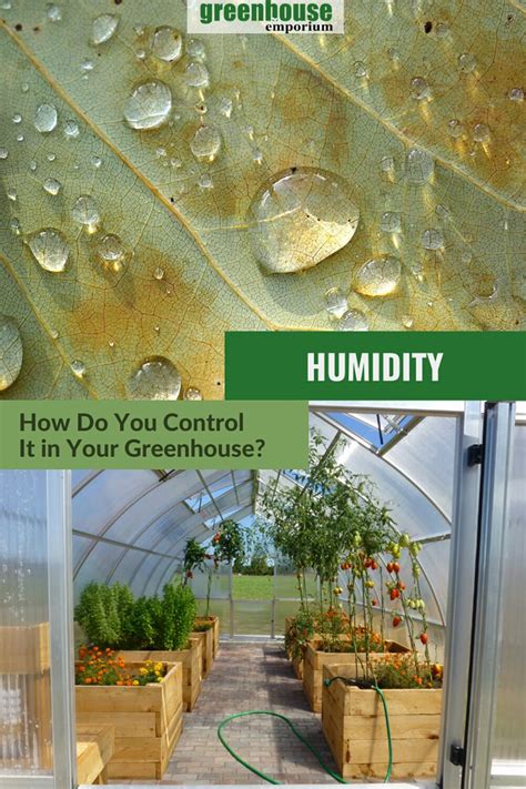 How To Control Humidity In A Greenhouse Artofit