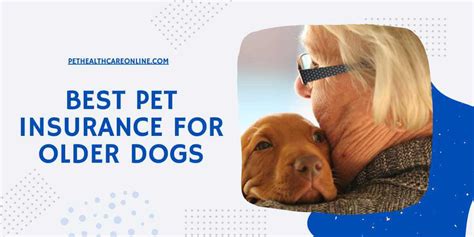 Best Pet Insurance For Older Dogs 2023 Pethealthcareonline