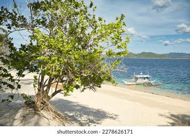 Paradisiacal Beach Coron Palawan Philippines Fine Stock Photo ...