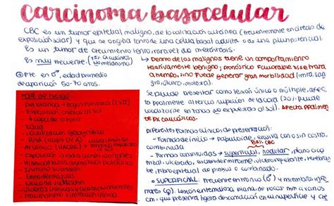 Carcinoma Basocelular Glomerulito Udocz