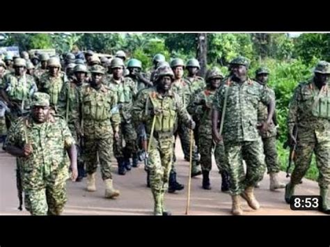 Guerre Fardc Vs M Rdf Complicit Ou Incomp Tence Du Pouvoir De