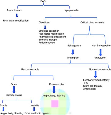 Management Of Peripheral Arterial Disease Download Scientific Diagram