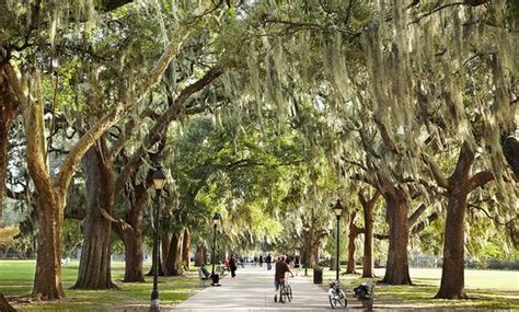 Savannah Photos - Featured Images of Savannah, Georgia Coast - TripAdvisor