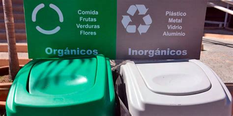 Proponen Volver Obligatoria La Separación De Basura Orgánica E