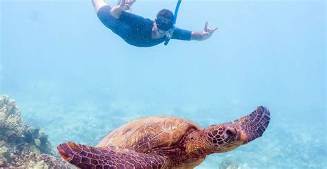 South Maui: Molokini Snorkeling Adventure | GetYourGuide