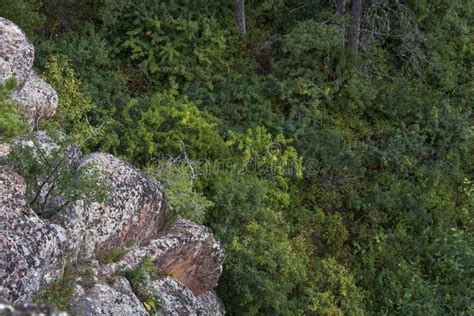 Felsmassiv Im Wald Stockbild Bild Von Landschaft Wellenf Rmig