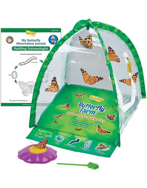 Insect Lore Science Kit Butterfly Farm Pow Science Llc