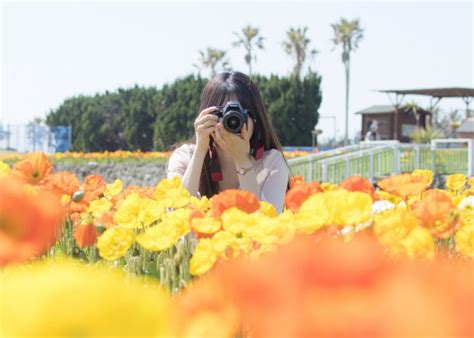 フォトジェニックなカメラ女子旅初心者でも理想の写真が撮れる一眼レフでおでかけ撮影テク7るるぶ more