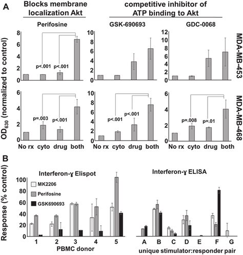 Other Akt Antagonists Display Similar Apoptosis Inducing And T Cell Download Scientific Diagram