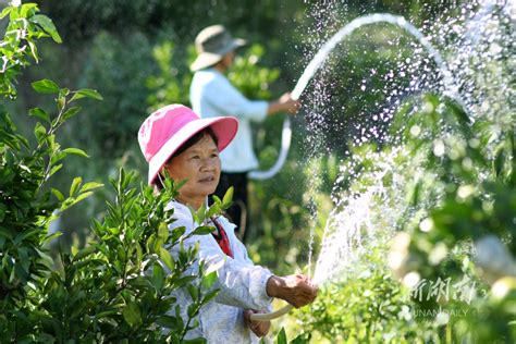 图集抗旱保灌 为民“解渴” 资讯 新湖南