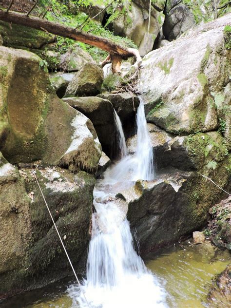 Bad Kreuzen Wolfsschlucht Ausflugstipp Travelcontinent