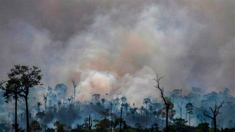 Focos De Incêndio Em Junho São Os Maiores Em 16 Anos