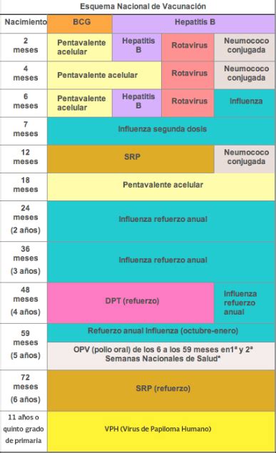 Qu Son Las Vacunas Y Cu L Es La Importancia De Su Aplicaci N El