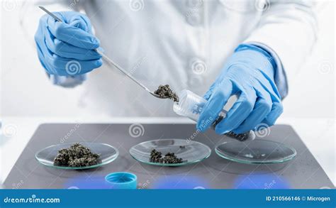 Pesticide Testing Laboratory Inspection Of Organic Farming Samples