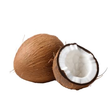 Realistic Drawing Whole And Half Coconut Art Background Coconut Png