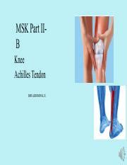 Msk Part Ii B Knee Achil Audio Slides Pdf The Musculoskeletal