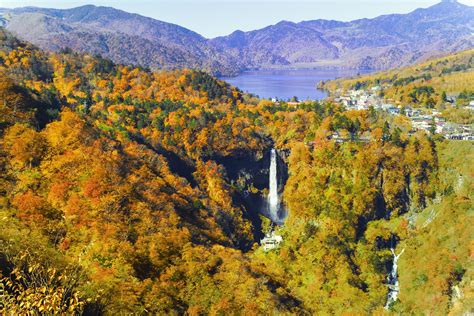 Nikko Pass Con Acceso A Todas Las Zonas