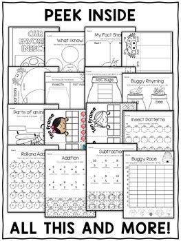 Insect Activities Thematic Unit By Nicole And Eliceo Tpt