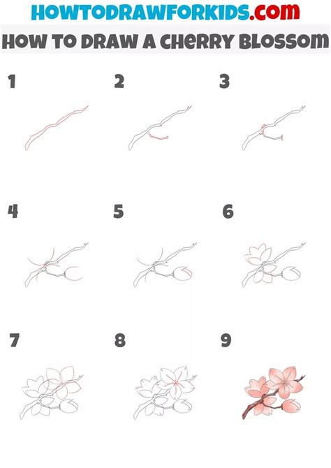 How to Draw a Cherry Blossom - Step by Step Tutorial