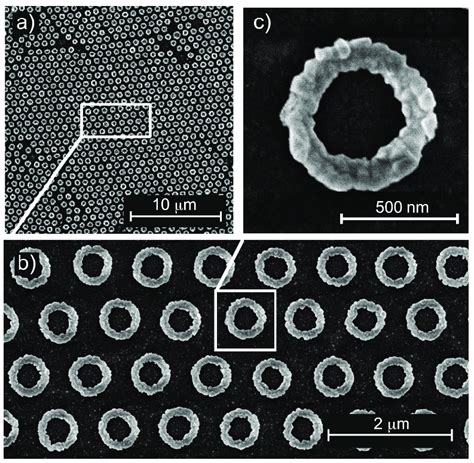 Sem Images Of Au Nanorings Created From One M Colloids A Low