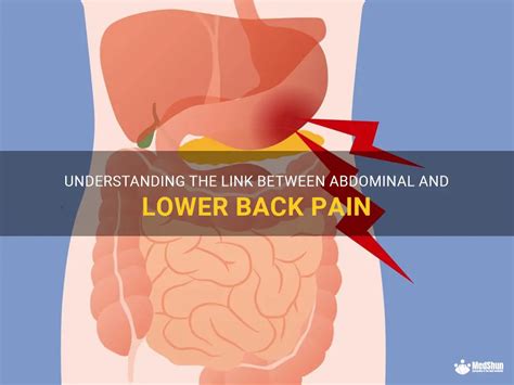 Understanding The Link Between Abdominal And Lower Back Pain | MedShun