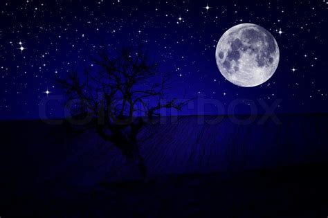 Night sky stars scenery | Stock Photo | Colourbox