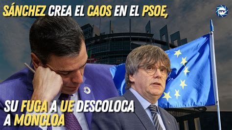 BRUTALSánchez crea el caos en el PSOE su fuga a UE y vuelve locos a