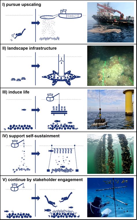 Frontiers Five Golden Principles To Advance Marine Reef Restoration