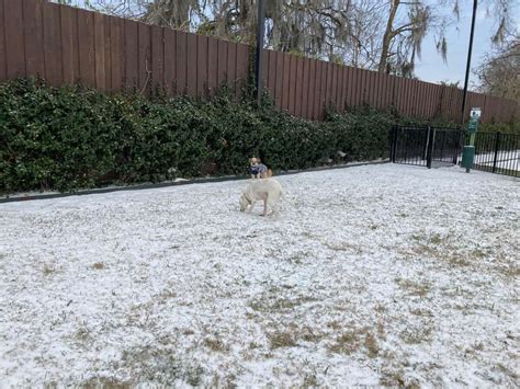 Reader photos: Historic winter storm dumps snow, ice across Houston area