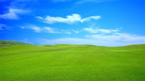 Green Grass and Blue Sky Wallpapers - Top Free Green Grass and Blue Sky Backgrounds ...