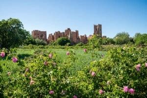 Vallée des Roses Maroc Ouarzazate city