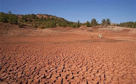 الگاردينيا مجلة ثقافية عامة العراق الجفاف يقضي على المحاصيل ويجبر