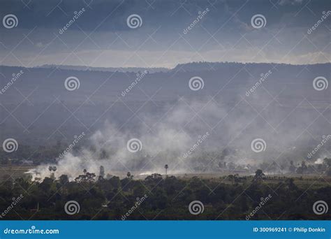 Deforestation Burning of Native Plants and Trees To Increase Human ...