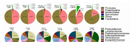 16s Rna Bacterial Sequences Represent In Ileal Samples Pie Charts Of