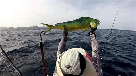 P Che En Kayak En Martinique Dorade Kg Youtube