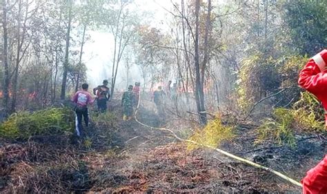 TNI Bantu Padamkan Api Akibat Karhutla Kalteng Today