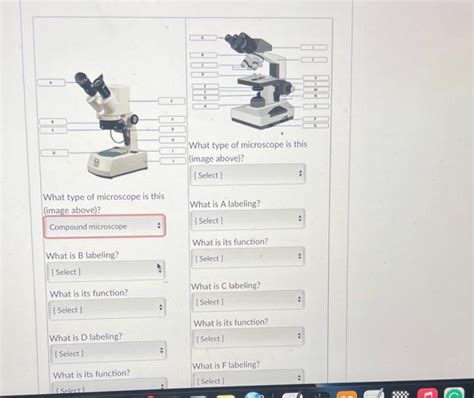 Solved Read The Following Excerpt From The Biology 189 Lab Chegg