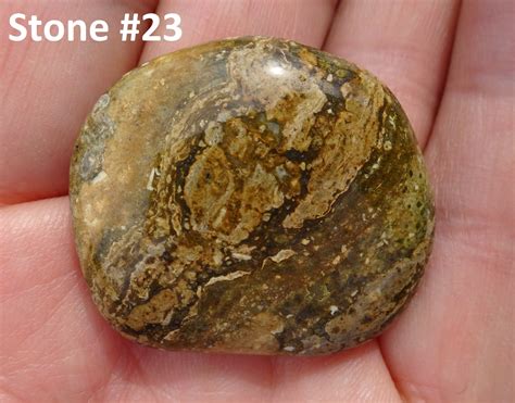 January 2022 Stone Of The Day 24 Trace Fossil Stone From Gemstone