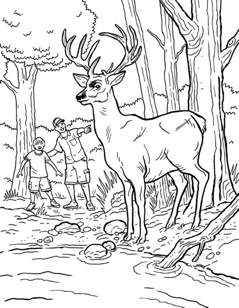 Bass Pro Shop Coloring Pages Coloring Pages