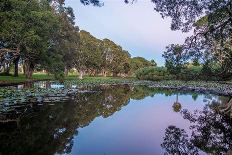 Centennial Park Sydney Australia - Free photo on Pixabay - Pixabay