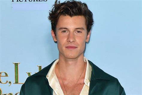 Shawn Mendes Says Healing Process After Canceling Tour Is Eye Opening