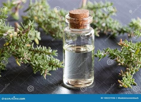 A Bottle Of Thyme Essential Oil With Fresh Thyme Twigs Stock Photo