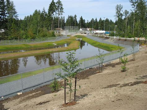 My Perspective Of Stormwater Regulations In The State Of Washington