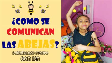 COMO SE COMUNICAN LAS ABEJAS Polinizando Futuro Con Isa YouTube