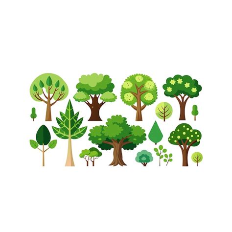 Premium Vector Collection Of Trees And Shrubs